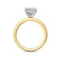 Lab Grown Hidden Hallo Oval Cut Two-Tone White and Yellow Gold Diamond Engagement Ring Four Claw Setting