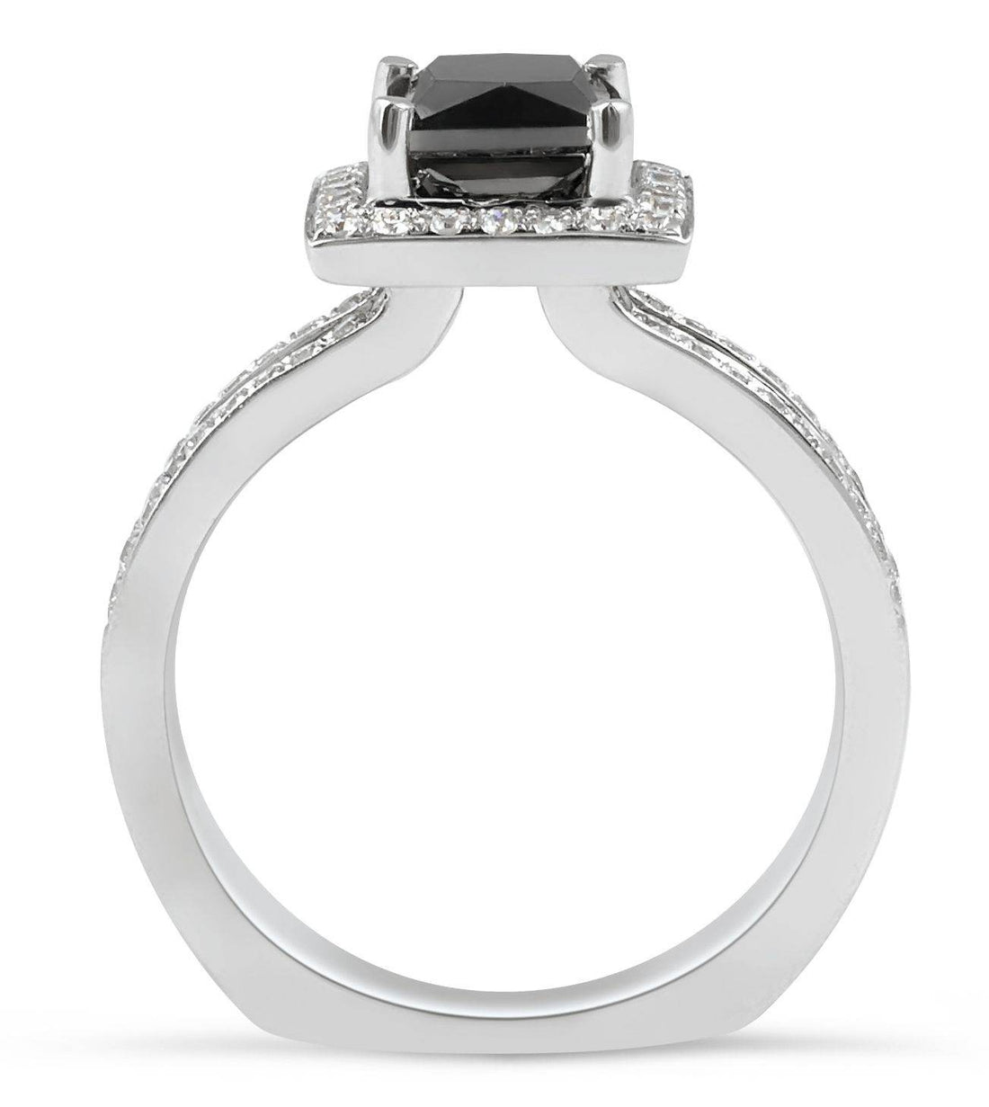 Split Band Halo Black Diamond Engagement Ring Princess Cut in 18K White Gold - DG & Co. Jewellery