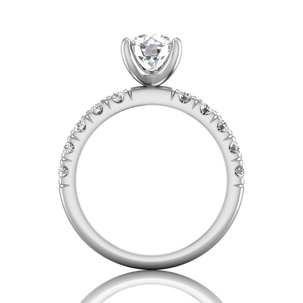 Round Cut Bright and Raised Claw Set Diamond Ring With Pave Set Side Stone - Platinum - DG & Co. Jewellery
