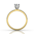 Round Cut Claw Set Diamond Ring With Pave Set Side Stone - 18K Yellow - DG & Co. Jewellery