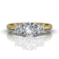 Round Cut Two Tone Trilogy Engagement Ring in 18k Yellow and White Gold - DG & Co. Jewellery