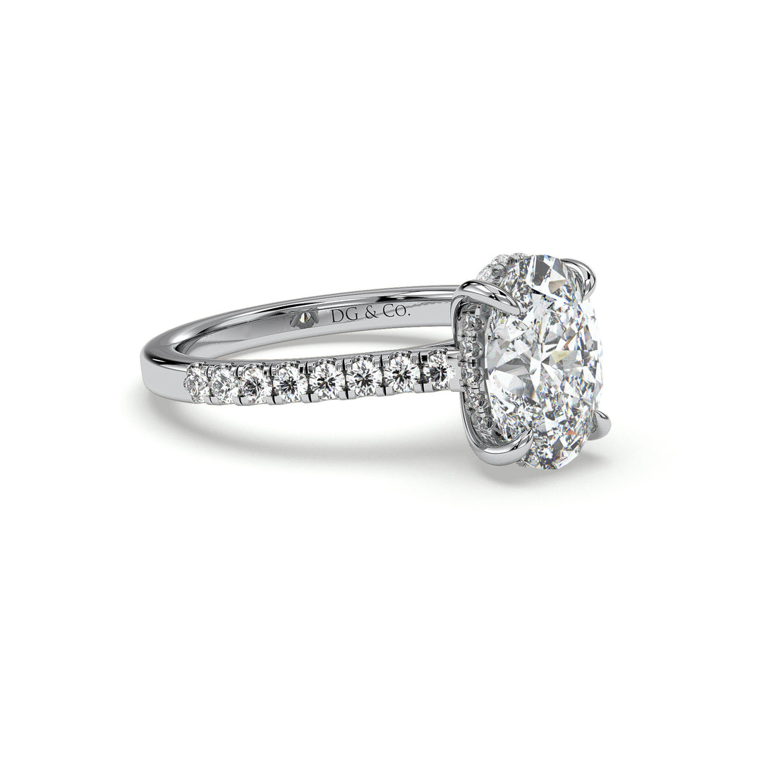 Sasha Oval Cut Hiddien Halo Cathedral Setting Diamond Engagement Ring - 18K White