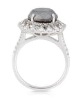 Black and white Diamond Double Halo Ring in 18 Karat White Gold - DG & Co. Jewellery