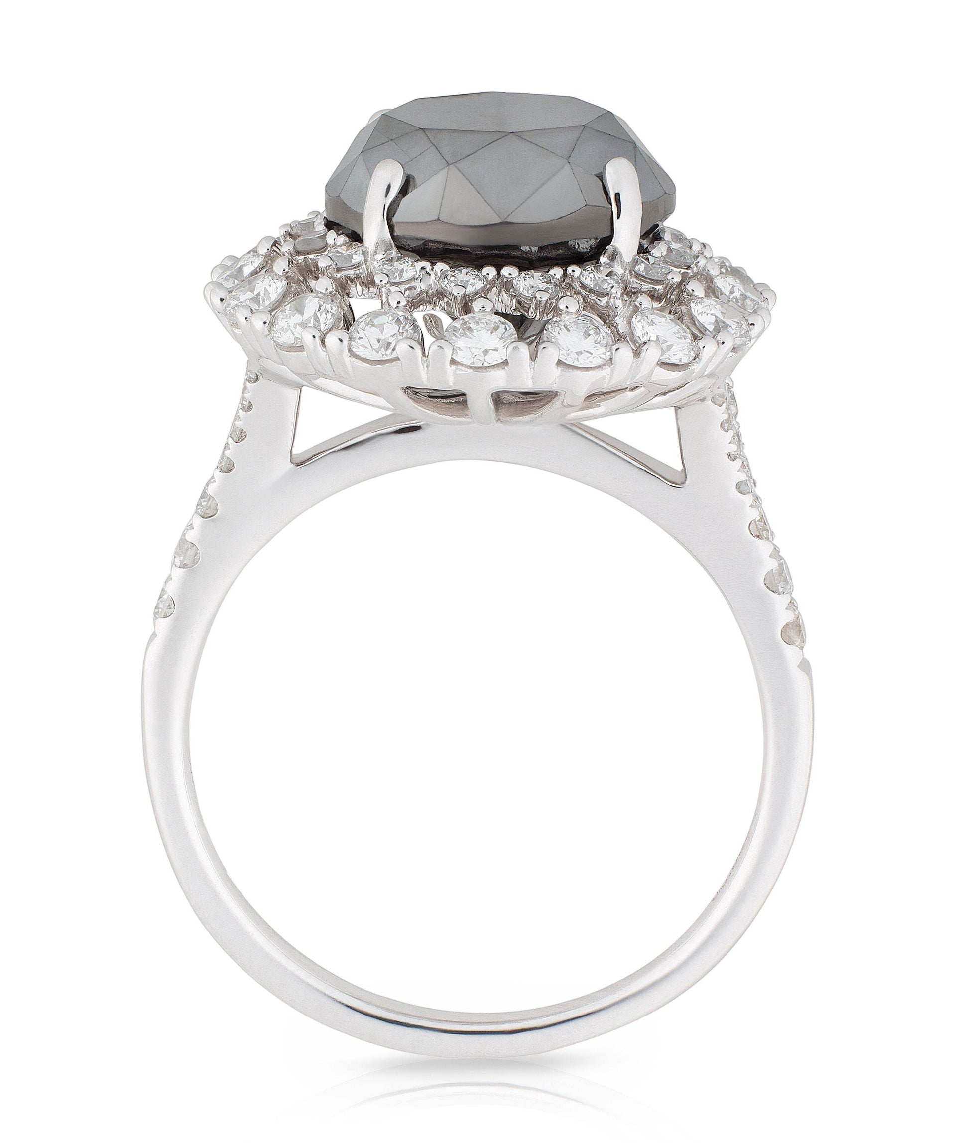 Black and white Diamond Double Halo Ring in 18 Karat White Gold - DG & Co. Jewellery