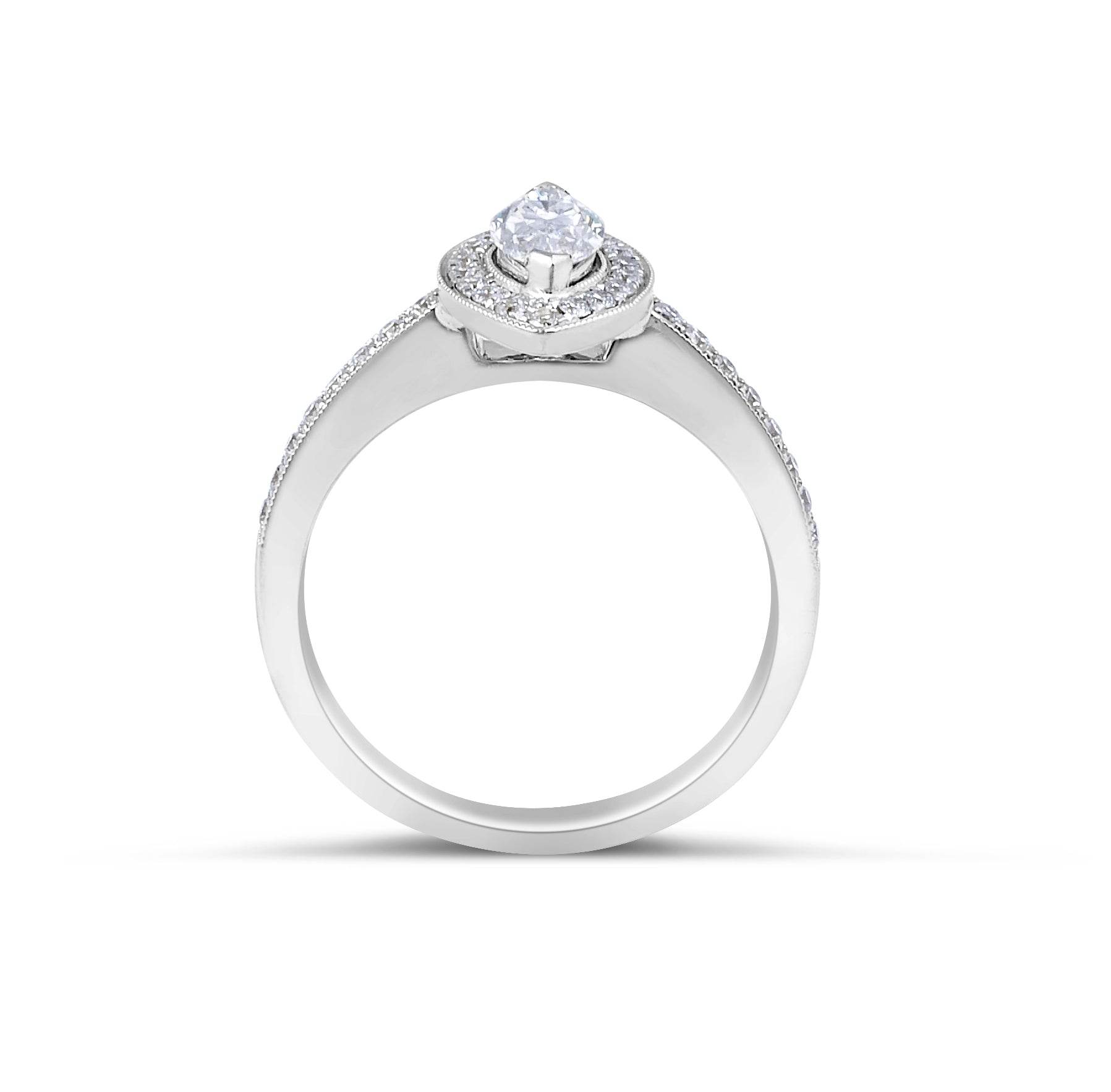 Halo Diamond Engagement ring in 18 Karat White Gold - DG & Co. Jewellery