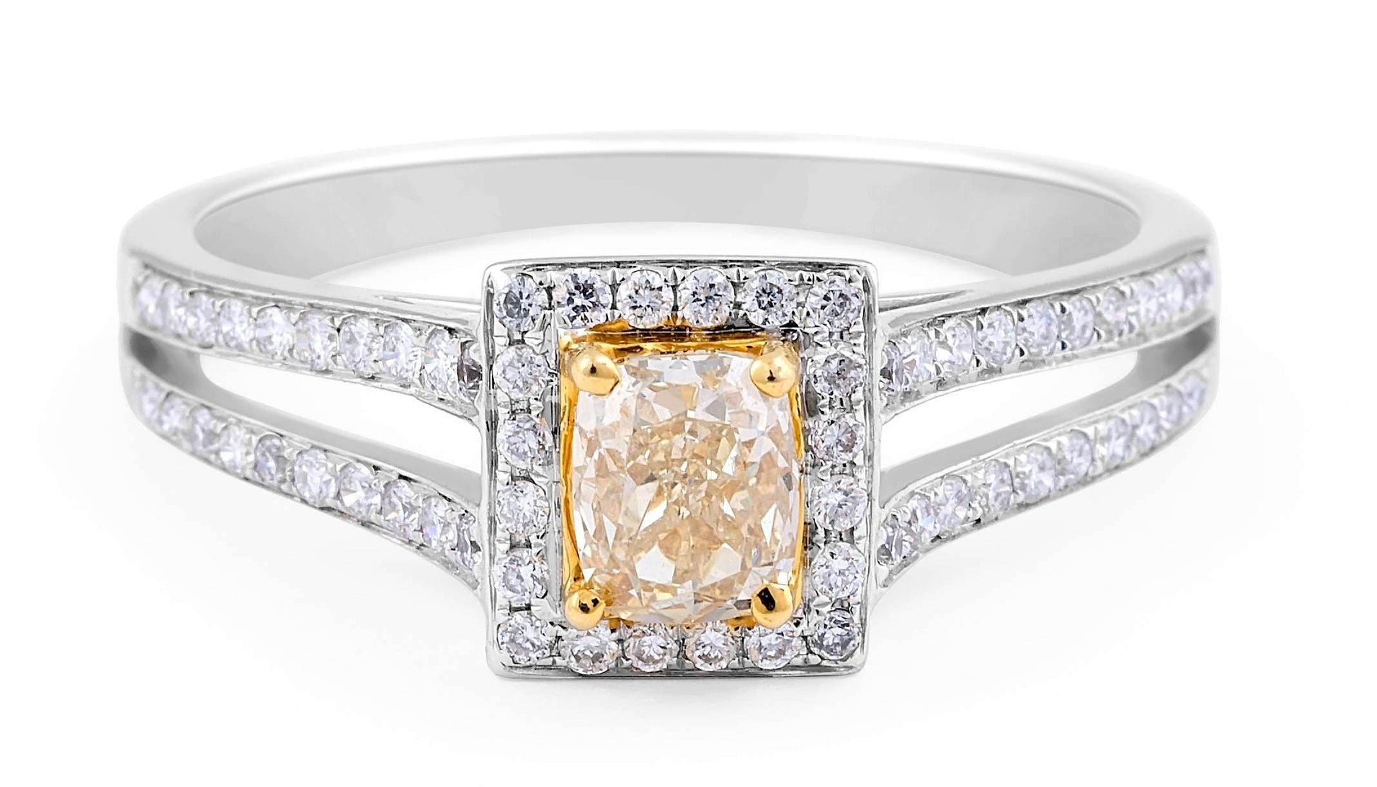 Double Band Halo Fancy Yellow Diamond Cushion Cut Ring In 18K White Gold - DG & Co. Jewellery
