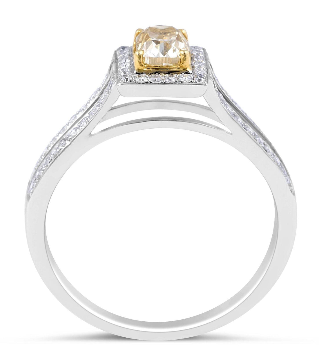 Double Band Halo Fancy Yellow Diamond Cushion Cut Ring In 18K White Gold - DG & Co. Jewellery