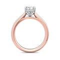 Cathedral Diamond Solitaire Engagement Ring 4 Claw Setting In a Plain band - 18K Rose - DG & Co. Jewellery