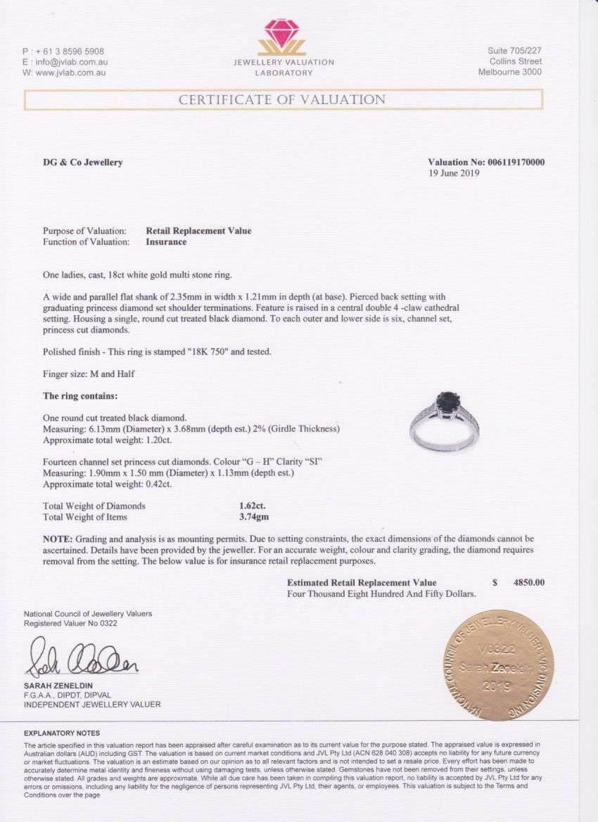 Round Cut Double Claw Black Diamond Engagement Ring Princess Cut Channel Set Side Stone In 18 Karat White Gold - DG & Co. Jewellery