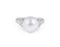 Pearl and Diamond Ring in 14 Karat White Gold - DG & Co. Jewellery
