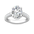 DG & Co. Signature Oval Cut Halo Diamond Engagement Ring 4 Claw Setting Pave Setting Side Stones -Platinum - DG & Co. Jewellery