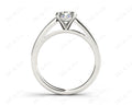 Round Cut Claw Set Diamond Ring with Share Prongs Set Side Stones - Platinum - DG & Co. Jewellery