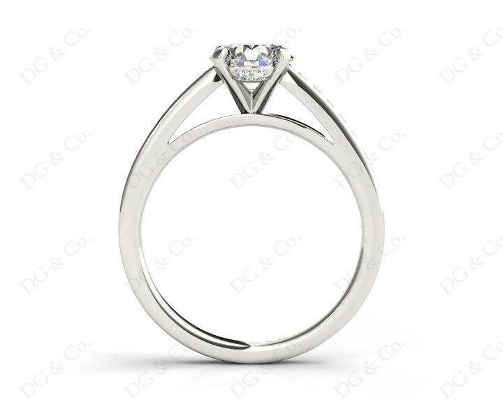 Round Cut Claw Set Diamond Ring with Share Prongs Set Side Stones - Platinum - DG & Co. Jewellery