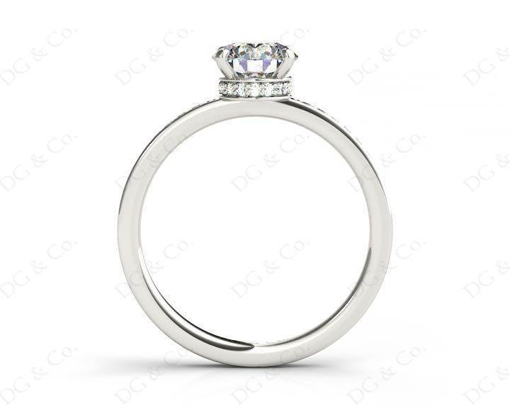 Round Cut Four Claw Set Diamond Ring with Round Share Prong Set Side Stones in Platinum - DG & Co. Jewellery