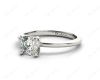 Cushion Cut Classic Four Claw Diamond Solitaire Ring in Platinum