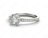 Round Cut Four Claw Set Diamond Ring with Round Share Prong Set Side Stones in Platinum