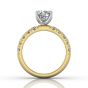 Round Cut Bright and Raised Claw Set Diamond Ring With Pave Set Side Stone -18K Yellow