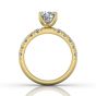 Round Cut Bright and Raised Claw Set Diamond Ring With Pave Set Side Stone -18K Yellow