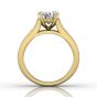 Round Cut Claw Set Diamond Ring With Three Row Side Stone-18K Yellow