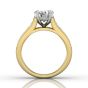 Round Cut Claw Set Diamond Ring With Three Row Side Stone-18K Yellow