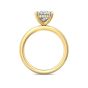 Hidden Halo Diamond Engagement Ring Four Prong Setting In 18K Yellow Gold