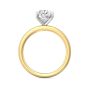 Oval Cut Solitaire Diamond Engagement Ring 4 Claw Setting In a Plain round Shape Band